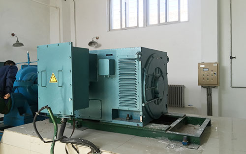 格尔木某水电站工程主水泵使用我公司高压电机一年质保
